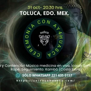 Toluca, Edo. de Mex.
