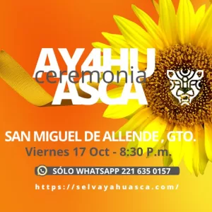 San Miguel de Allende, Gto.